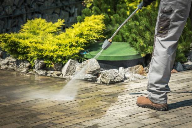 Best Driveway Pressure Washing  in North Puyallup, WA