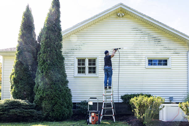 Best Gutter Cleaning  in North Puyallup, WA